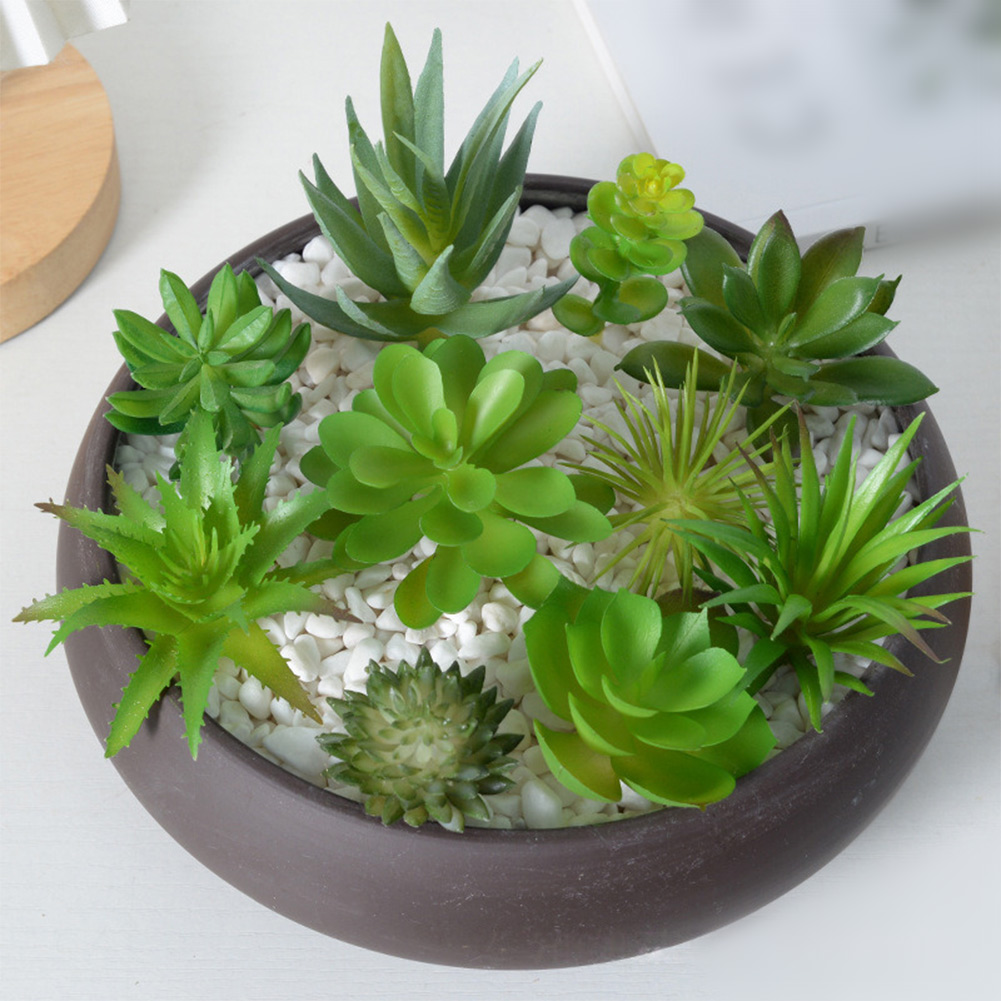 Artificial For Mini Bonsai Suc - Succulent Arrangement Mini recension och pris