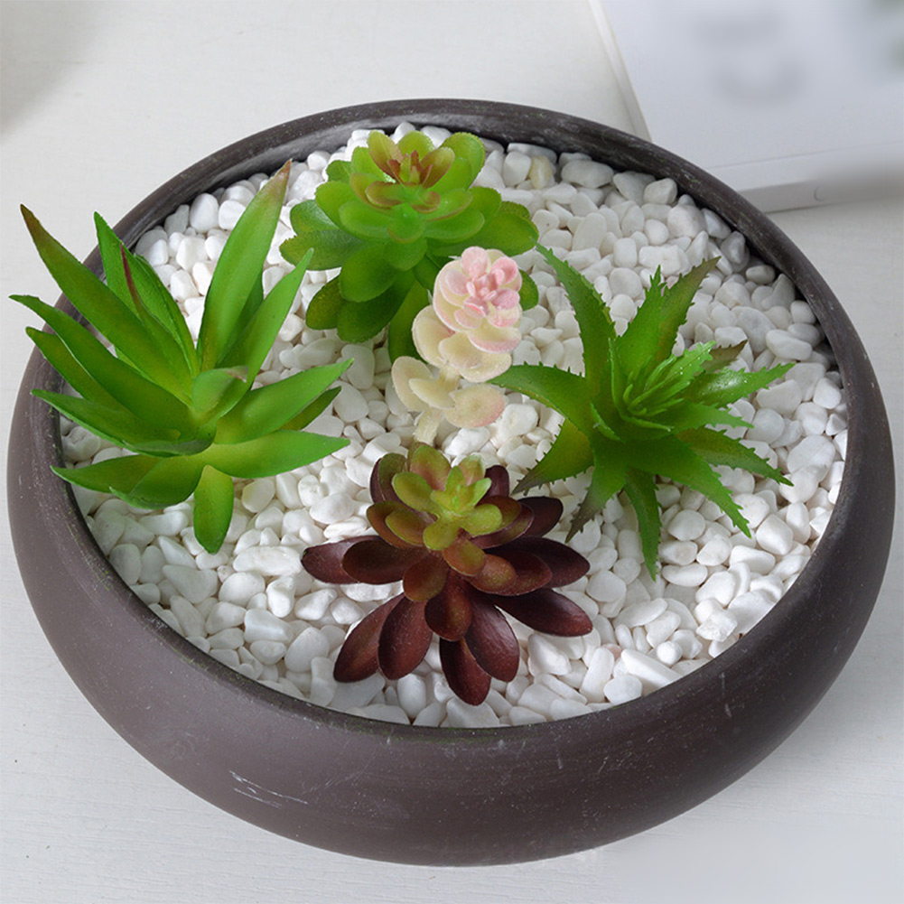Artificial For Mini Bonsai Suc - Succulent Arrangement Mini recension och pris