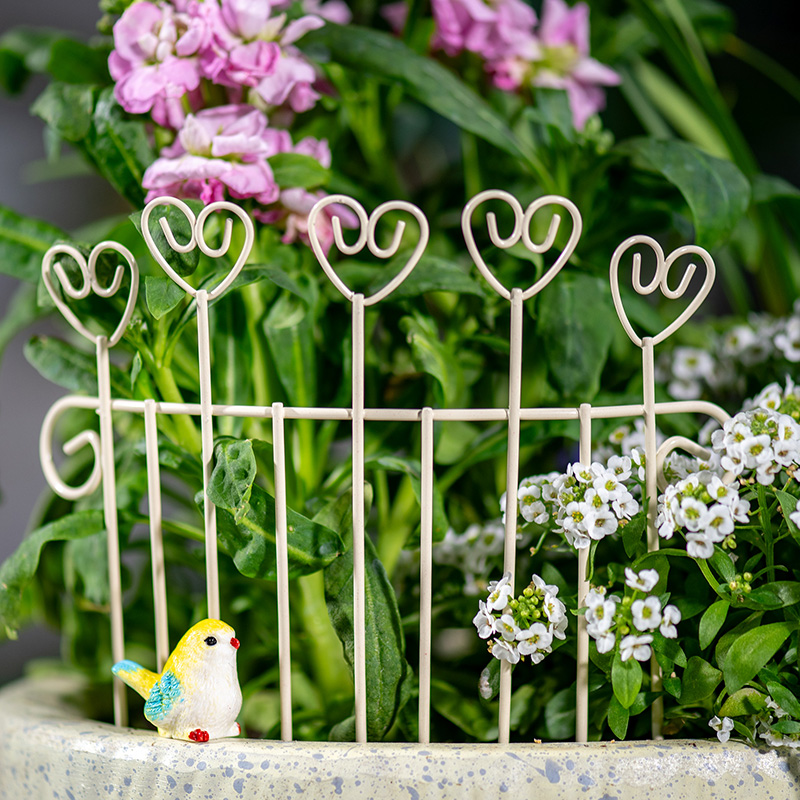 Whimsical Mini Iron FlowerPot  - Succulent Arrangement Mini recension och pris