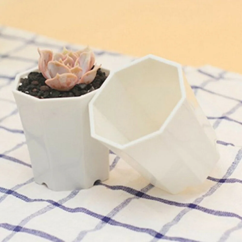 10pcs Plastic For Mini Flower  - Succulent Arrangement Mini recension och pris
