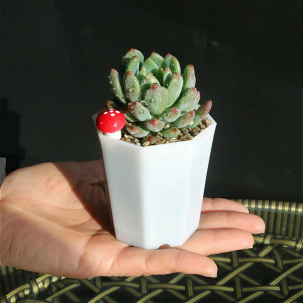 10pcs Plastic For Mini Flower  - Succulent Arrangement Mini recension och pris