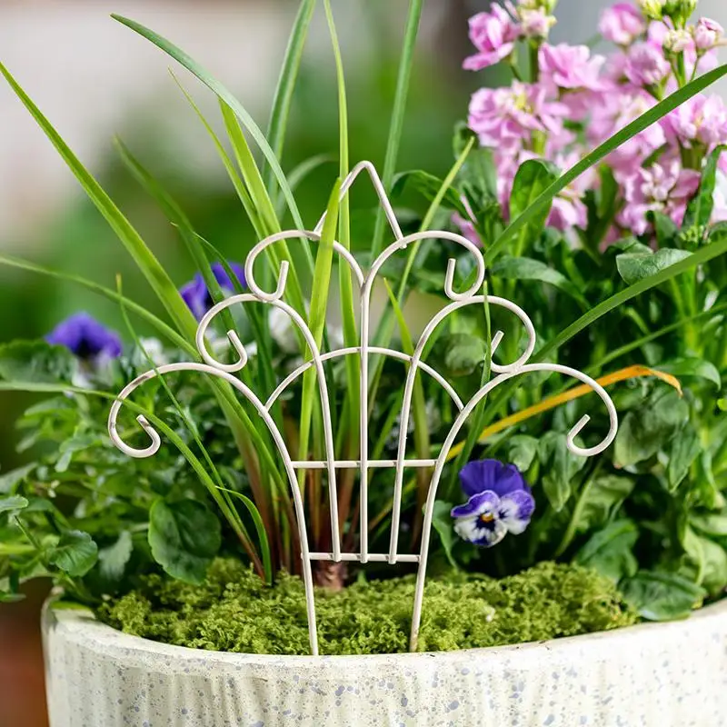 Whimsical Mini Iron FlowerPot  - Succulent Arrangement Mini recension och pris
