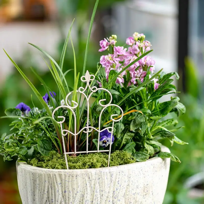 Whimsical Mini Iron FlowerPot  - Succulent Arrangement Mini recension och pris