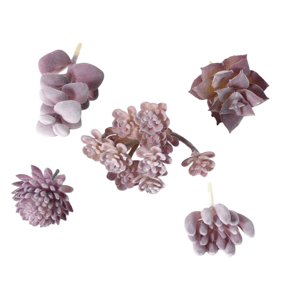 Low Upkeep For Mini Bonsai Suc - Succulent Arrangement Mini recension och pris