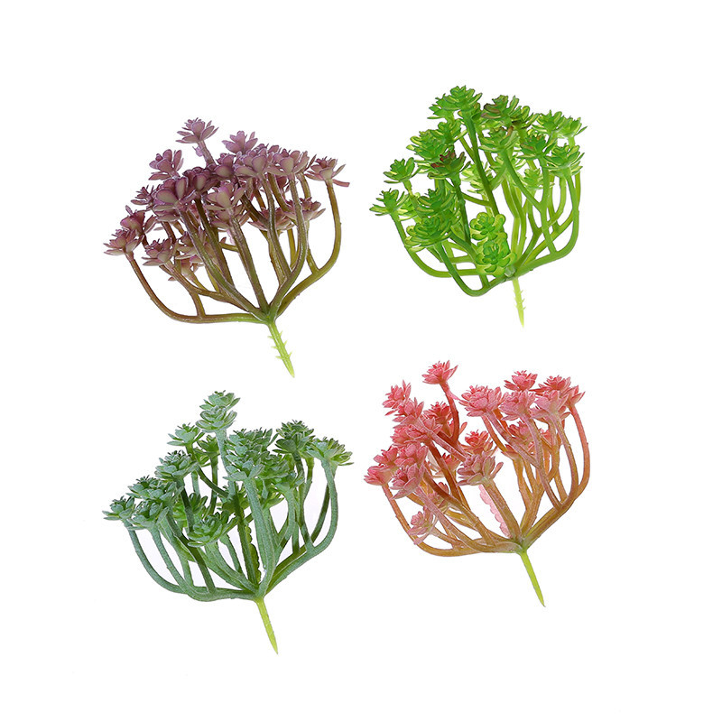 Wusmart Large Xian Ren Ke Arti - Succulent Arrangement Mini recension och pris