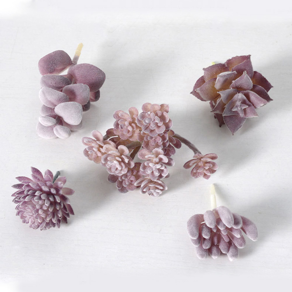 Charming For Mini Bonsai Succu - Succulent Arrangement Mini recension och pris