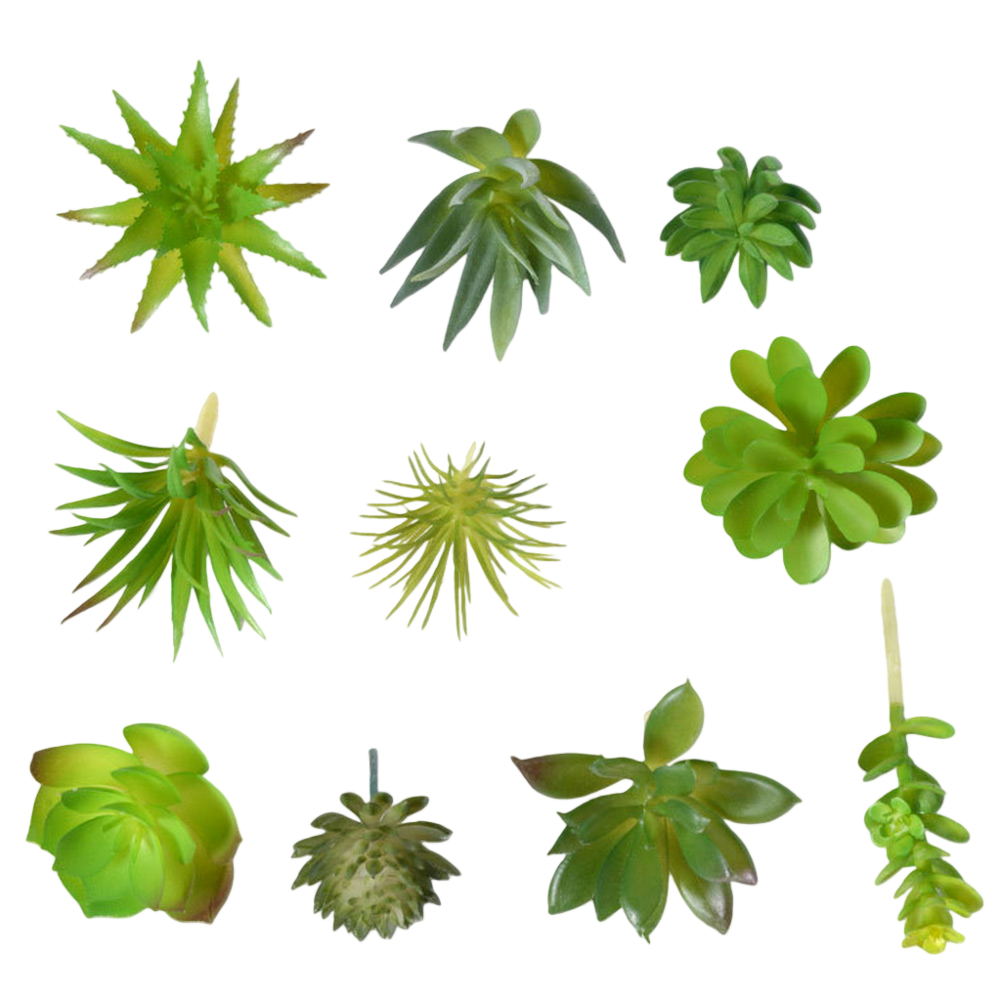 Photography Prop Friendly For  - Succulent Arrangement Mini recension och pris