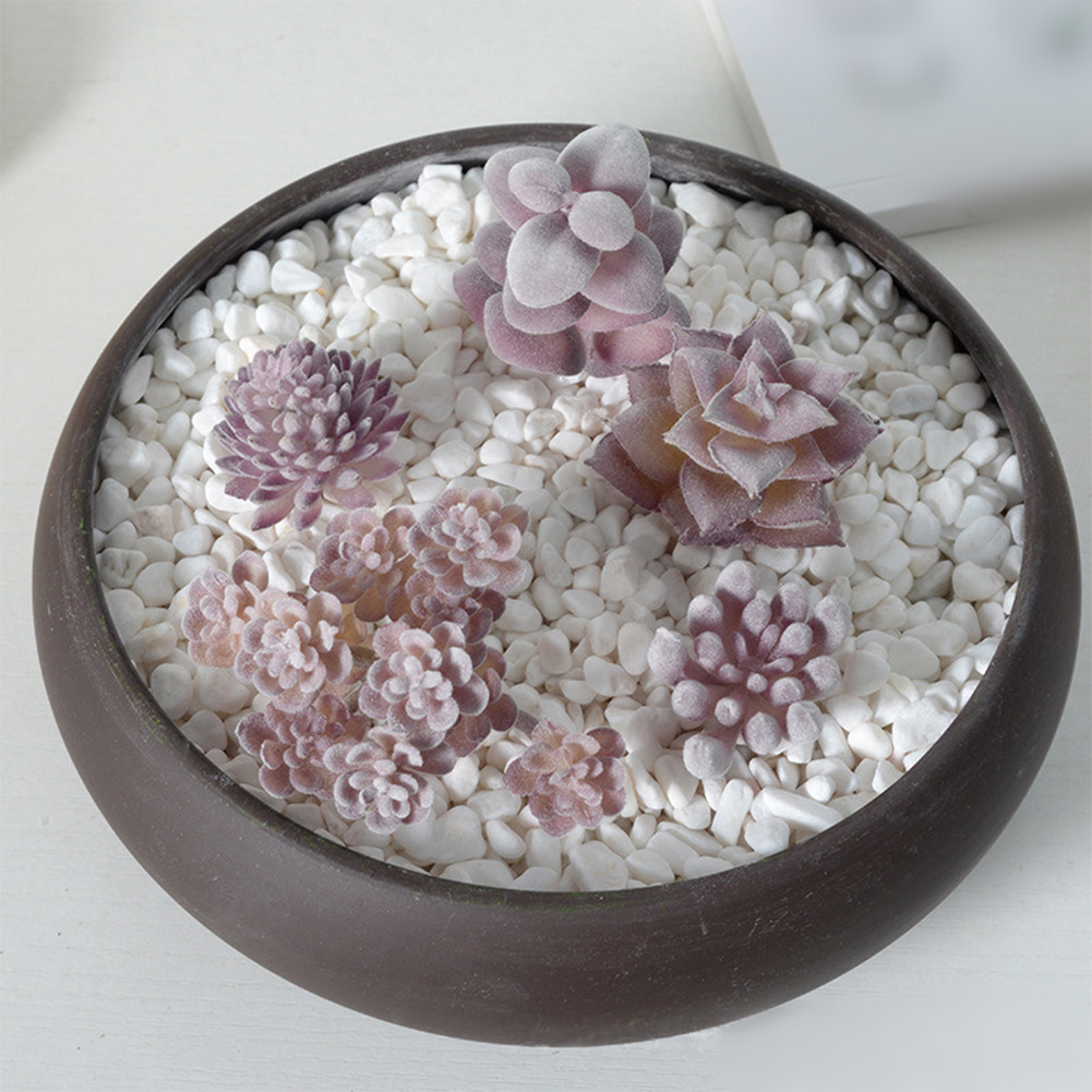 Photography Prop Friendly For  - Succulent Arrangement Mini recension och pris