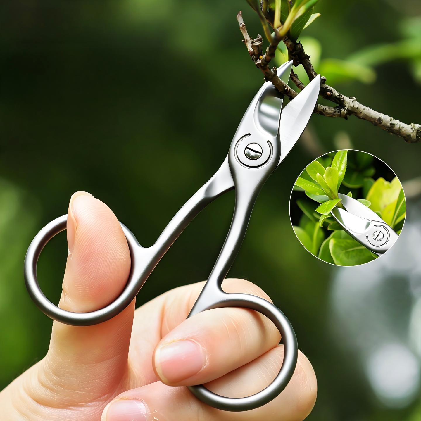 Bonsai Shear Stainless Steel S - Succulent Arrangement Mini recension och pris