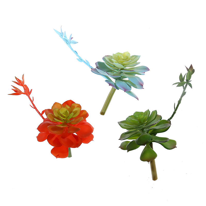 Wusmart Zhong Shi Lian Large A - Succulent Arrangement Mini recension och pris