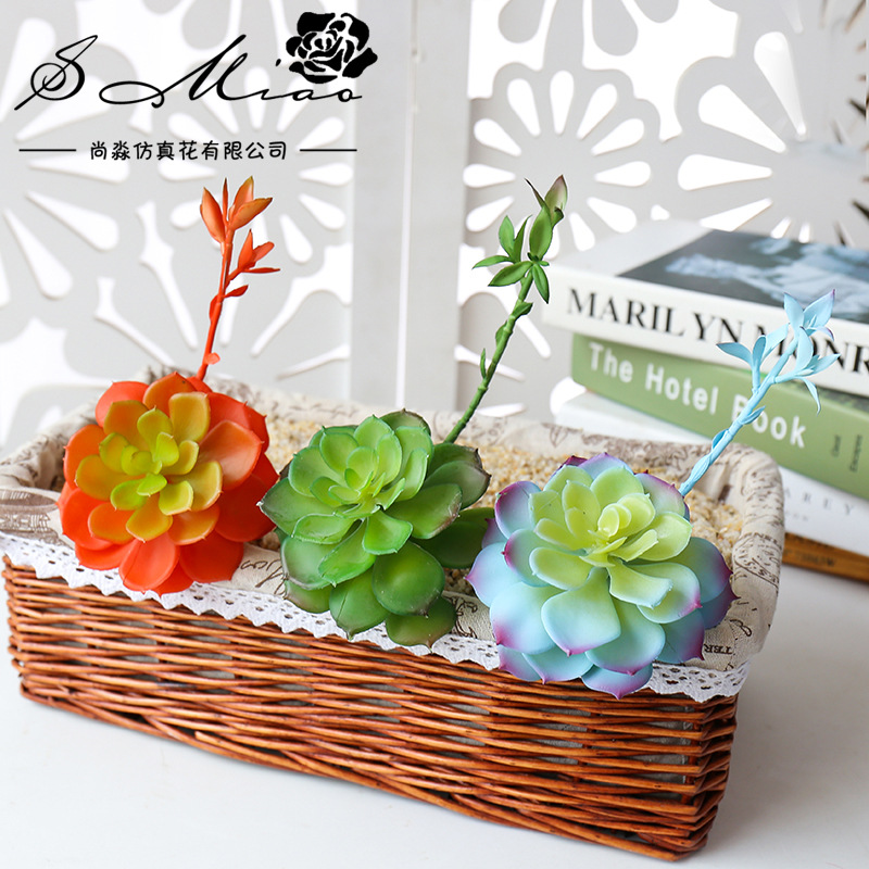 Wusmart Zhong Shi Lian Large A - Succulent Arrangement Mini recension och pris