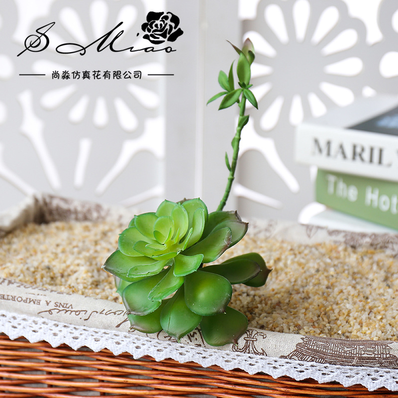 Wusmart Zhong Shi Lian Large A - Succulent Arrangement Mini recension och pris