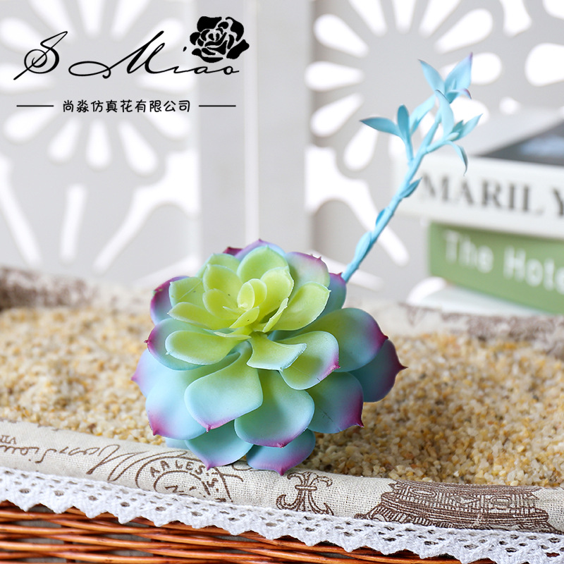 Wusmart Zhong Shi Lian Large A - Succulent Arrangement Mini recension och pris