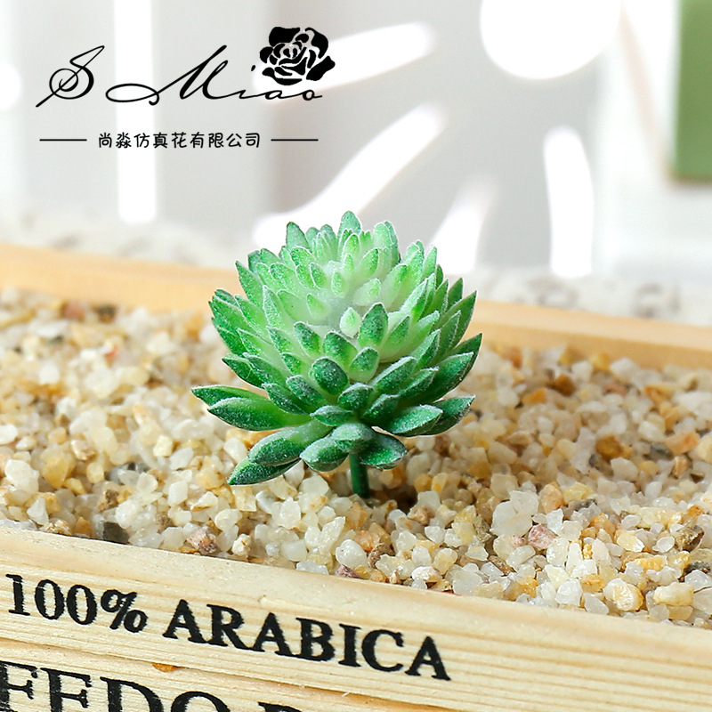 Wusmart Ji Wa Lian Artificial  - Succulent Arrangement Mini recension och pris