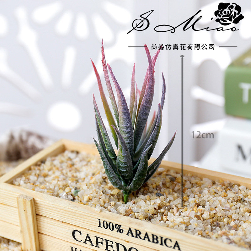 Wusmart Ban Ma Lu Hui Artifici - Succulent Arrangement Mini recension och pris