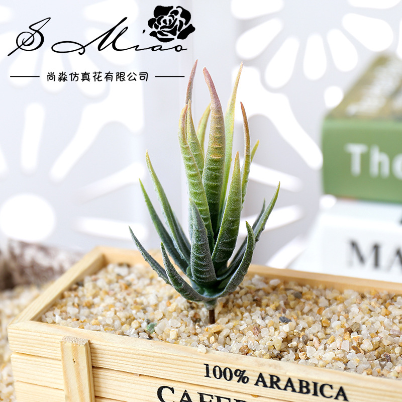 Wusmart Ban Ma Lu Hui Artifici - Succulent Arrangement Mini recension och pris