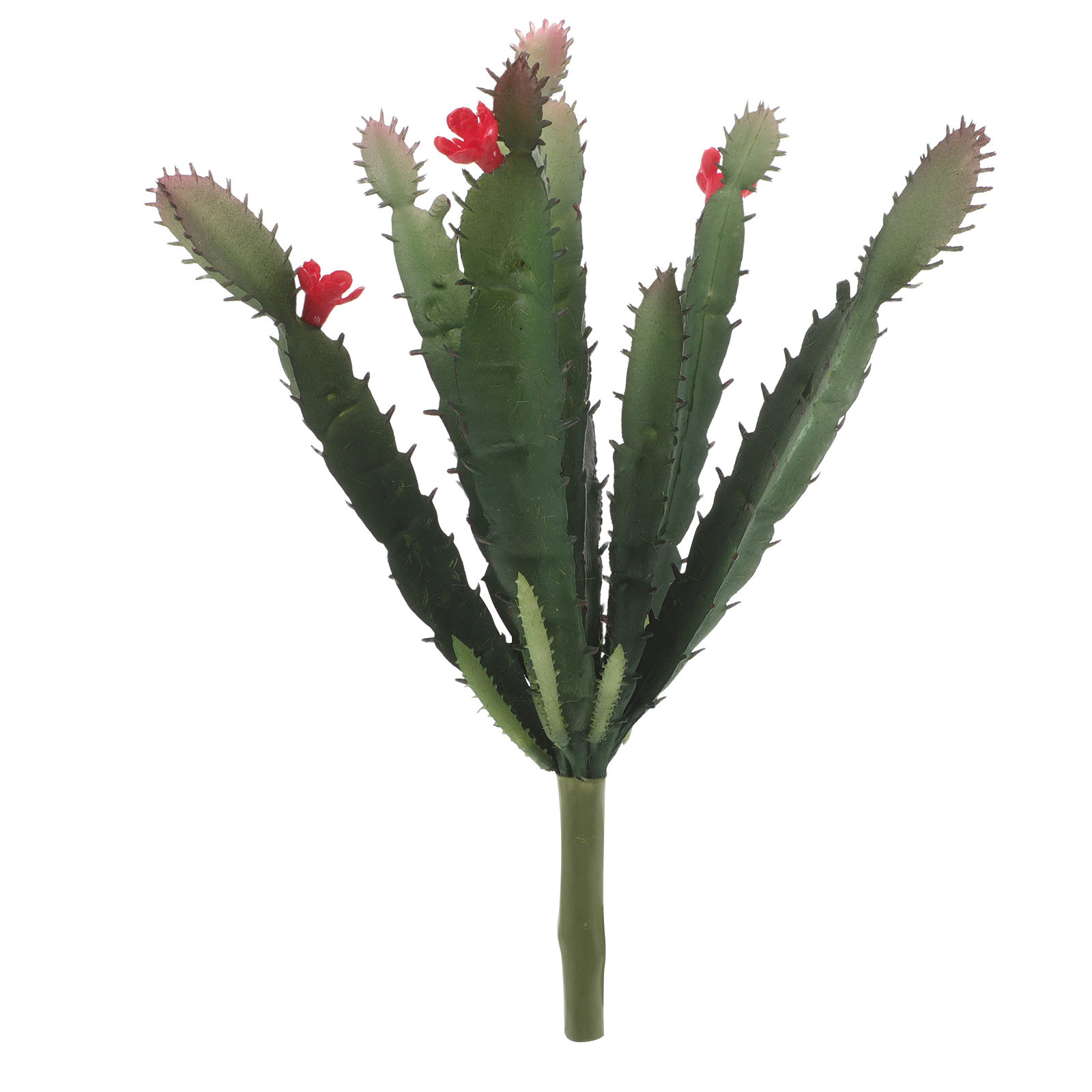 Lifelike Mini Faux Cactus Succ - Succulent Arrangement Mini recension och pris