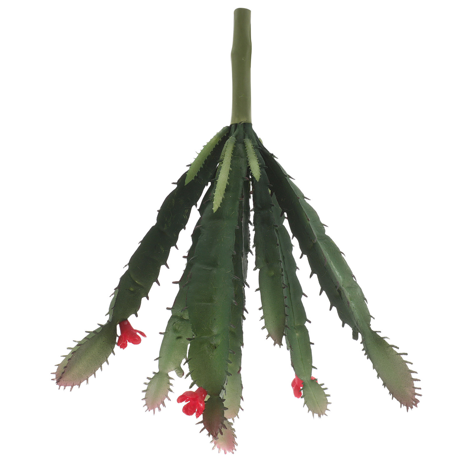 Lifelike Mini Faux Cactus Succ - Succulent Arrangement Mini recension och pris